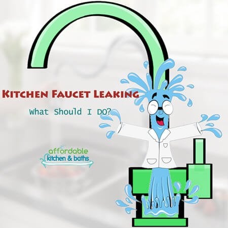 Kitchen Faucet Leaking- A kitchen faucet gets a lot of use daily. 