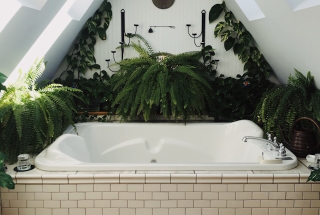 Bathtub surrounded by plants